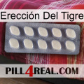 Erección Del Tigre 08